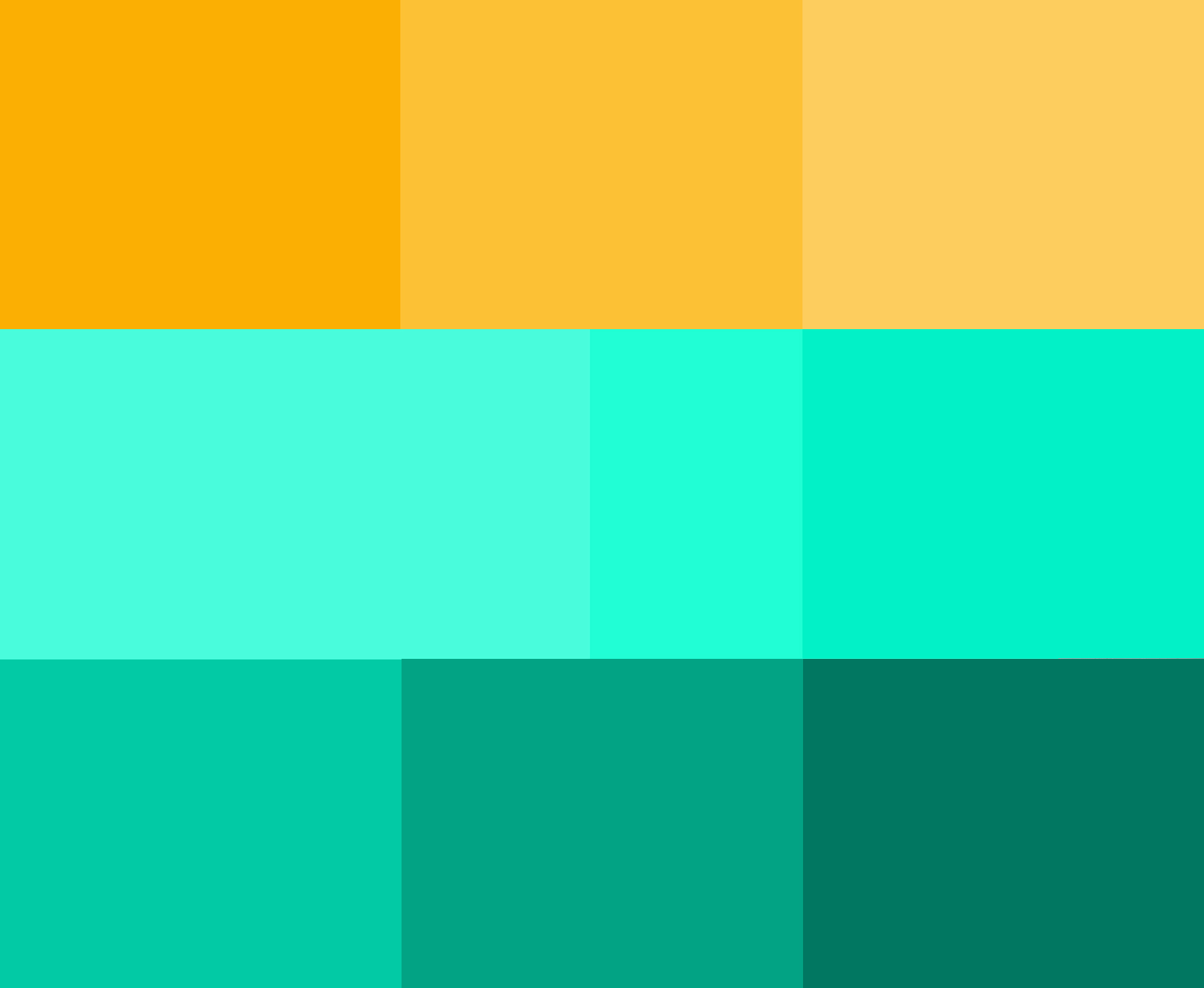 Kolory dg - digital grow